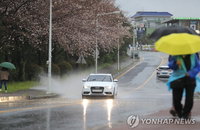 제주 장마 첫날, 강풍 동반 100mm 이상 강우 예상