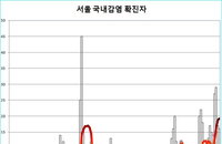 코로나19 발생현황, 서울시 상황 역대 최악으로