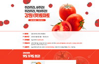 강원진품센터 토마토 특판행사, 여섯 번 남았다