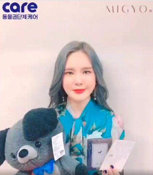 케어 미교 