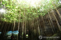 시서스 다이어트, 섭취량 제한해야…방판 충동구매 환불은