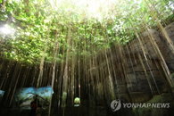 시서스 다이어트, 섭취량 제한해야…방판 충동구매 환불은