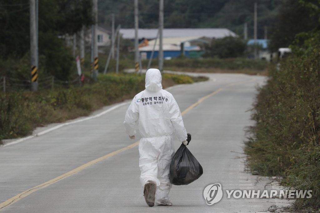 역학조사관