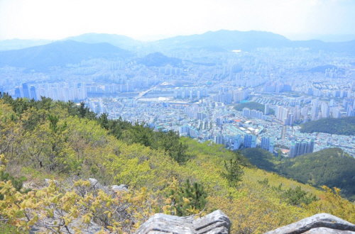장산