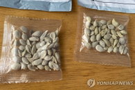 미국 정체불명 씨앗, 최소 9개 주로 확산…식물에 질병 전파·가축 피해 우려