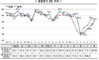 얼어붙은 제조업 체감경기…경기회복도 불투명
