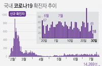 [코로나19 발생현황] 해외유입·지역발생 감소…통계상 수치 대폭 줄어