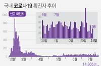 [코로나19 발생현황] 수도권 산발적 감염, 캠핑장 집단감염 발생