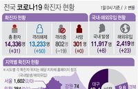 [코로나19 발생현황] 신규 확진자 31명…캠핑장 관련 3명 추가·서울 2명 등(종합)