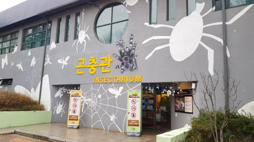 곤충관