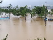 [기상특보] 태풍 하구핏 영향 집중호우…서울 곳곳 피해