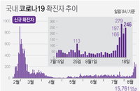 여름방학·휴가 중 코로나19 2차 대유행 초기 양상…정부, 이동 자제 부탁