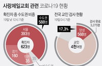 국내 코로나19 발생현황 (19일 정오)