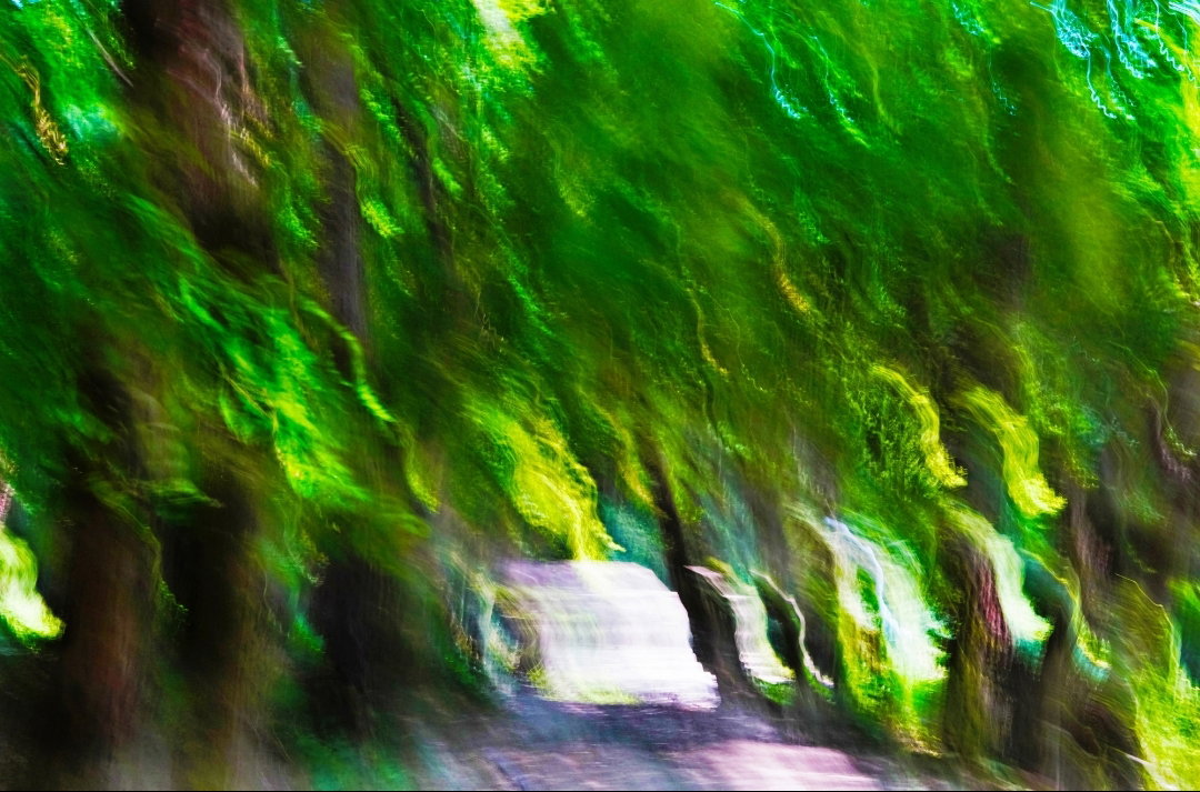 윤상민 작가
