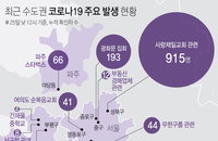 국내 코로나19 발생현황 (25일 정오)