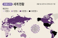 세계 코로나19 발생현황 (31일)