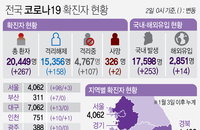 2일 코로나19 발생현황 (추가)