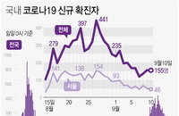 국내 코로나 확진자 현황 (10일 정오)