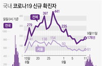 국내 코로나 확진자 현황 (11일 정오)