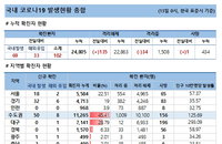 13일 코로나19 발생현황 (종합)