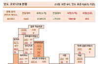 13일 인도 코로나 확진자 현황 (종합)