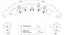 인천공항 3단계 방역강화