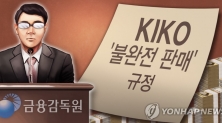 금감원, 키코(KIKO) '불완전 판매' 규정 (PG)
