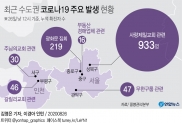 코로나19 발생현황(수도권 발생현황)