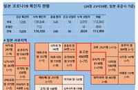 25일 일본 코로나 확진자 현황 (종합)