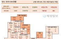 7일 인도 코로나 확진자 현황 (종합)