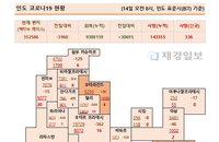 14일 인도 코로나 확진자 현황 (종합)