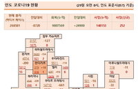 29일 인도 코로나 확진자 현황 (종합)