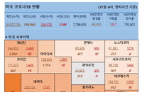 31일 미국 코로나 바이러스 확진자·사망자 현황 (종합)