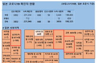 31일 일본 코로나 확진자 현황 (종합)
