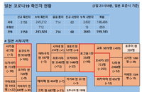 4일 일본 코로나 확진자 현황 (종합)