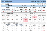 11일 코로나19 발생현황 (종합)