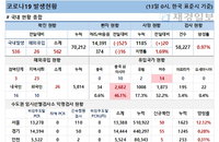 13일 코로나19 발생현황 (종합)