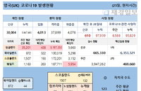 25일 영국 코로나 확진자 현황 (종합)