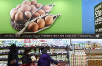 내일부터 달걀·가공품 5만t 수입관세 면제…'금계란' 가격 떨어질까