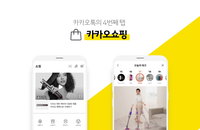 카카오의 쇼핑 강화, 지그재그 인적분할 후 합병