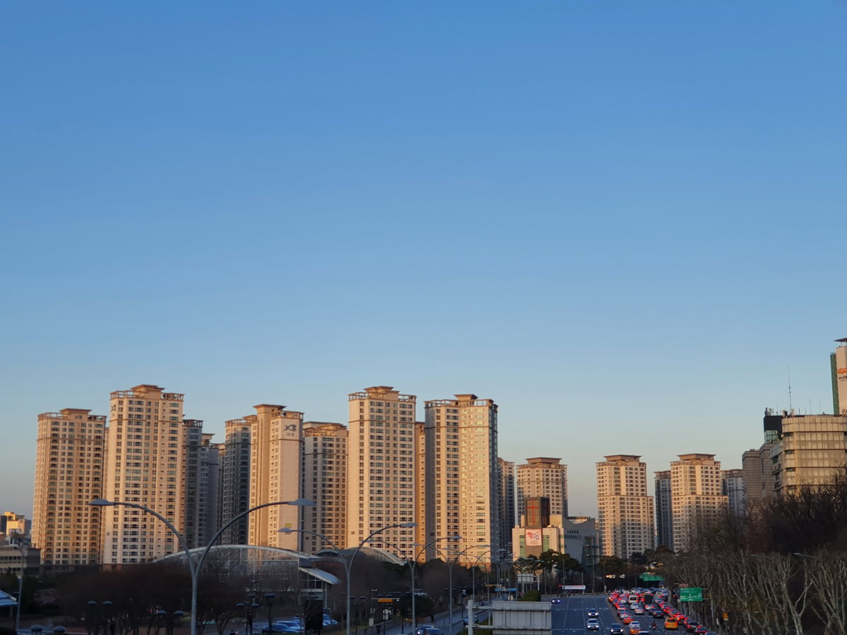 부동산 부동산