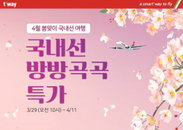 1만원대 제주도 항공권 등장…국내선 강화하는 LCC