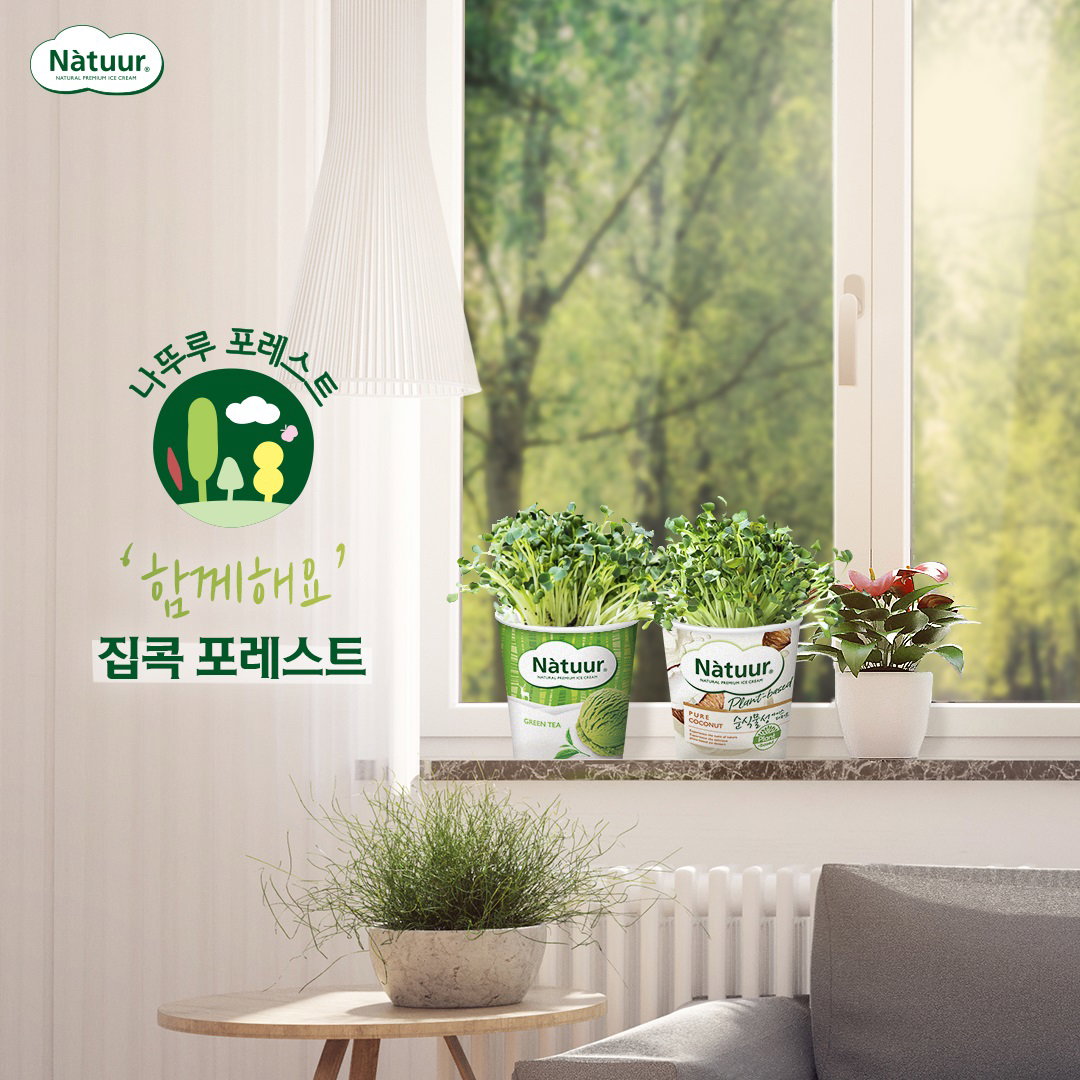 롯데제과 나뚜루 포레스트
