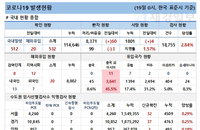 19일 코로나19 발생현황 (종합)