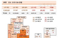 29일 인도 코로나 확진자 현황 (종합)