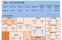 29일 미국 코로나 바이러스 확진자·사망자 현황 (종합)