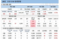 29일 코로나19 발생현황 (종합)