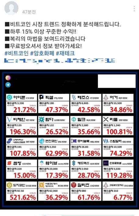 '코인 리딩방' 홍보글 인터넷 캡처 '코인 리딩방' 홍보글 인터넷 캡처