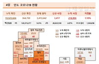 4일 인도 코로나 확진자 현황 (종합)