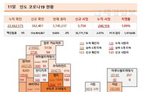 11일 인도 코로나 확진자 현황 (종합)